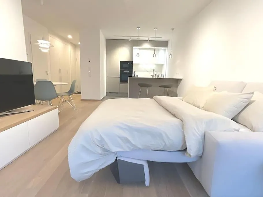 Kirchberg Apartment - High End 1 Bedroom Apartment With Terrace & Parking Luxembourg 0*,
